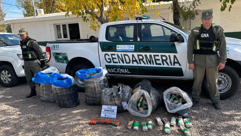 Gendarmería encuentra hojas de coca en un camión de encomiendas